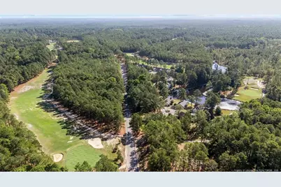 15941 Old Orchard Court, Wagram, NC 28396 - Photo 41