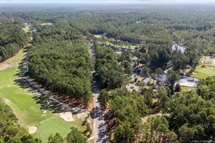 15941 Old Orchard Ct, Wagram, NC 28396 - Photo 41