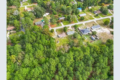 21480 Jane Shaw Road, Wagram, NC 28396 - Photo 5