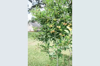 2847 Pickard Rd. Road, Sanford, NC 27330 - Photo 11