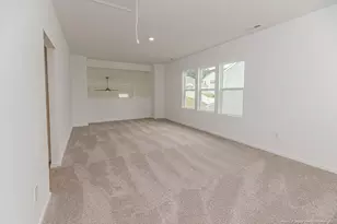 71 Furley (Homesite 116) St, Sanford, NC 27330 - Photo 27