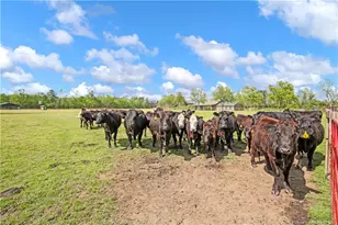 464 Shand Dr, Pembroke, NC 28372 - Photo 41