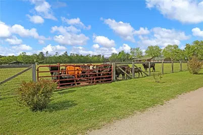 464 Shand Drive, Pembroke, NC 28372 - Photo 45