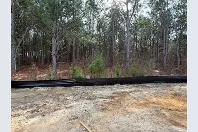 218 Ironbark (Lot 52) Drive, Raeford, NC 28376 - Photo 17