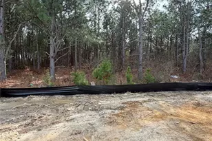 218 Iron Bark Dr Lot 52, Raeford, NC 28376 - Photo 17