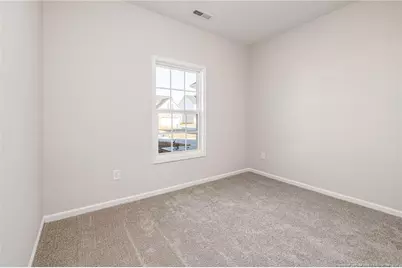 138 Meadow Sage (Lot 113) Street, Raeford, NC 28376 - Photo 11