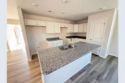 194 Dalton Drive, Lumber Bridge, NC 28357 - Photo 5