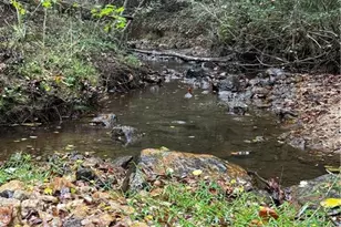 1285 Cool Springs Rd, Lillington, NC 27546 - Photo 41