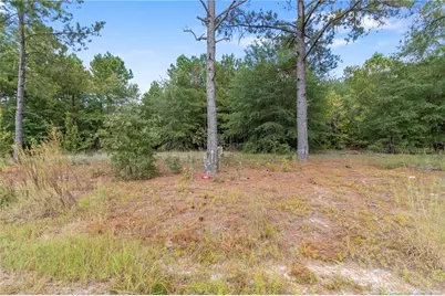 526 Kivett Court, Fayetteville, NC 28312 - Photo 47