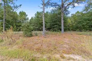 526 Kivett Ct, Fayetteville, NC 28312 - Photo 47