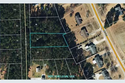 78 Regis Lane, Coats, NC 27521 - Photo 39