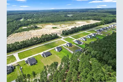 176 Josey Williams Road, Erwin, NC 28339 - Photo 3