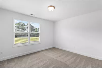 176 Josey Williams Road, Erwin, NC 28339 - Photo 33