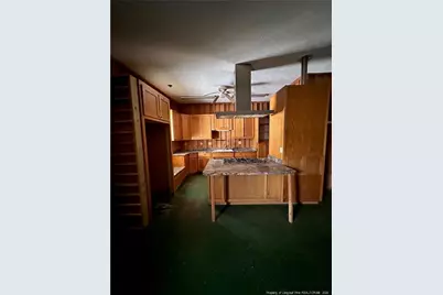 3054 Burney Road, Bladenboro, NC 28320 - Photo 35