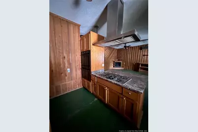 3054 Burney Road, Bladenboro, NC 28320 - Photo 37