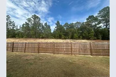 910 Sapphire Stone Lane, Hope Mills, NC 28348 - Photo 39