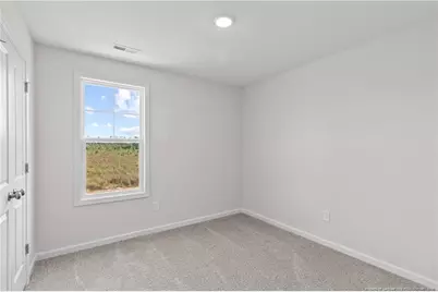 319 Palomo Place, Raeford, NC 28376 - Photo 33