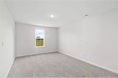 319 Palomo Place, Raeford, NC 28376 - Photo 23