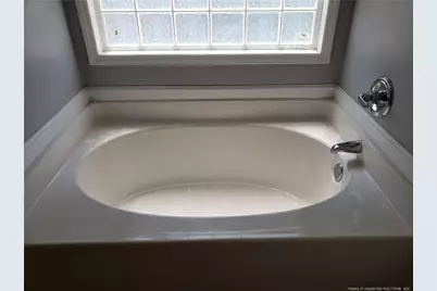 115 Silverberry Court, Raeford, NC 28376 - Photo 3