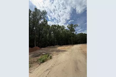 0 Fire Department Road, Wilsons Mills, NC 27527 - Photo 33