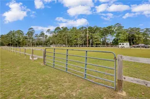 6409 Oak Grove Church Rd, Stedman, NC 28391 - Photo 39