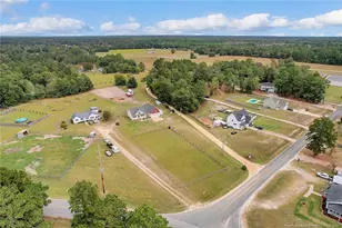 6409 Oak Grove Church Rd, Stedman, NC 28391 - Photo 43