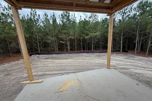 1029 Ivory Ln, West End, NC 27376 - Photo 5