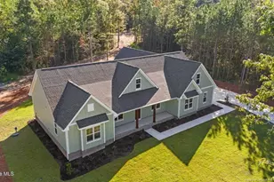 1435 Pineywood Church Rd, Cameron, NC 28326 - Photo 7