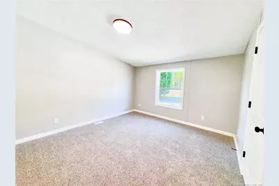 2915 McLean Chapel Church Road, Bunnlevel, NC 28323 - Photo 19