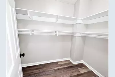 2915 McLean Chapel Church Road, Bunnlevel, NC 28323 - Photo 15