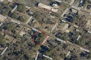 406 Courtland Dr, Sanford, NC 27330 - Photo 9