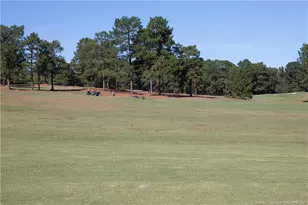 160 Carolina Way, Sanford, NC 27332 - Photo 41