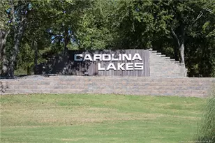 160 Carolina Way, Sanford, NC 27332 - Photo 37