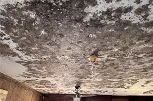 1108 Fulton St, Raeford, NC 28376 - Photo 13