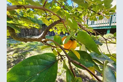 6766 Buttermere Drive, Fayetteville, NC 28314 - Photo 9