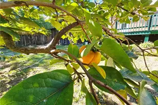 6766 Buttermere Dr, Fayetteville, NC 28314 - Photo 9