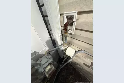 1206 Wingstem Place, Cary, NC 27607 - Photo 23