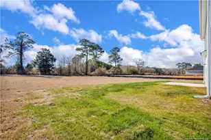 221 Buggy Top Ln, Autryville, NC 28318 - Photo 37