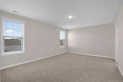 221 Buggy Top Lane, Autryville, NC 28318 - Photo 23