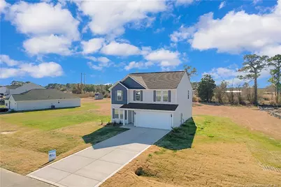 221 Buggy Top Lane, Autryville, NC 28318 - Photo 3