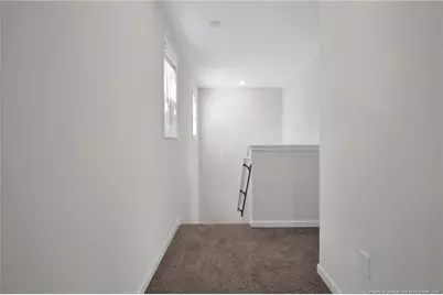 208 Buggy Top Lane, Autryville, NC 28318 - Photo 19