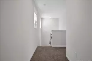 208 Buggy Top Ln, Autryville, NC 28318 - Photo 19