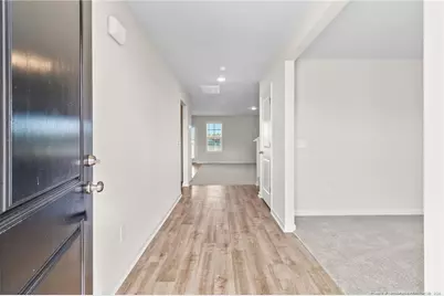 20 Buggy Top Lane, Autryville, NC 28318 - Photo 7