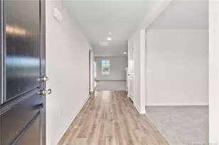 20 Buggy Top Ln, Autryville, NC 28318 - Photo 7