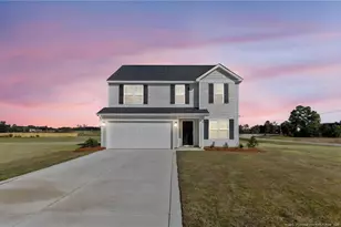 20 Buggy Top Ln, Autryville, NC 28318 - Photo 31