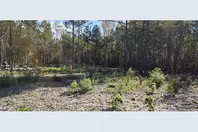 Cameron Hill Road, Cameron, NC 28326 - Photo 7