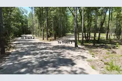 Cameron Hill Road, Cameron, NC 28326 - Photo 3