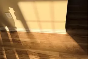 146 Canter Dr, Raeford, NC 28376 - Photo 39