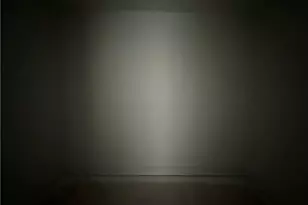 2918 Calloway Rd, Raeford, NC 28376 - Photo 15