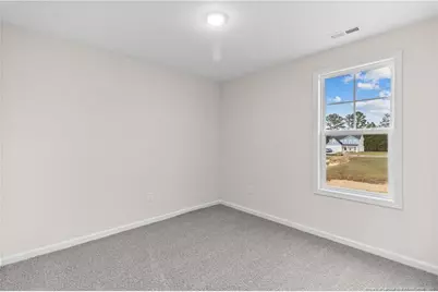 234 Palomo Place, Raeford, NC 28376 - Photo 33